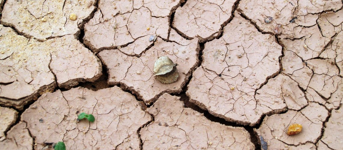 arid-barren-clay-216692